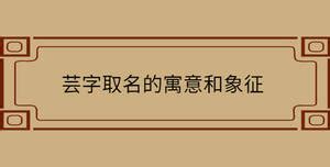 芸 名字 意思|芸芸的名字寓意是什么意思 芸芸的意思